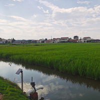 Granja de hunan