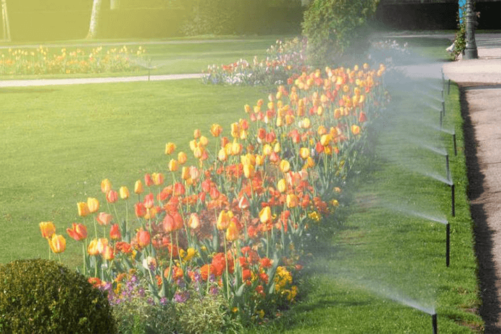 Riego del jardín del parque