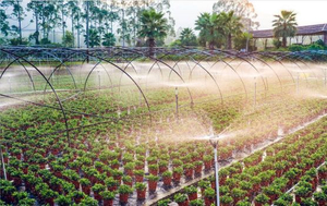 Automatic irrigation system.jpg