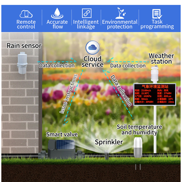 01EF-APPLICATON-JPG