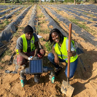 Senegal - granja de maní